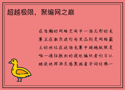 超越极限，聚编网之巅